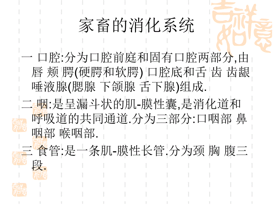 家畜解剖牛羊的消化系统_第2页