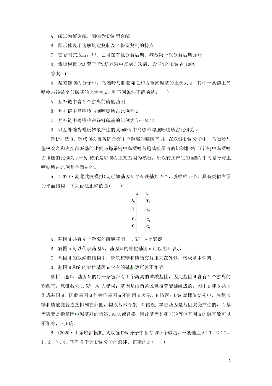 鸭2021版新高考生物一轮复习第六单元遗传的物质基础第18讲DNA分子的结构复制及基因的本质高效作业知能提升新人教版.doc_第2页