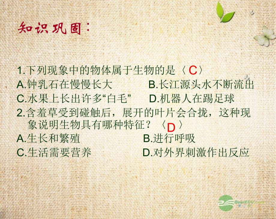 七年级生物上册第一单元生物和生物圈复习课件人教新课标版资料_第3页