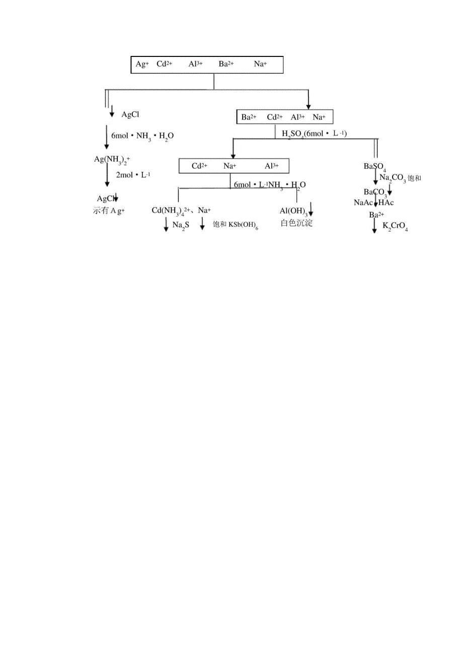 试验二十四常见阳离子的分离与鉴定_第5页