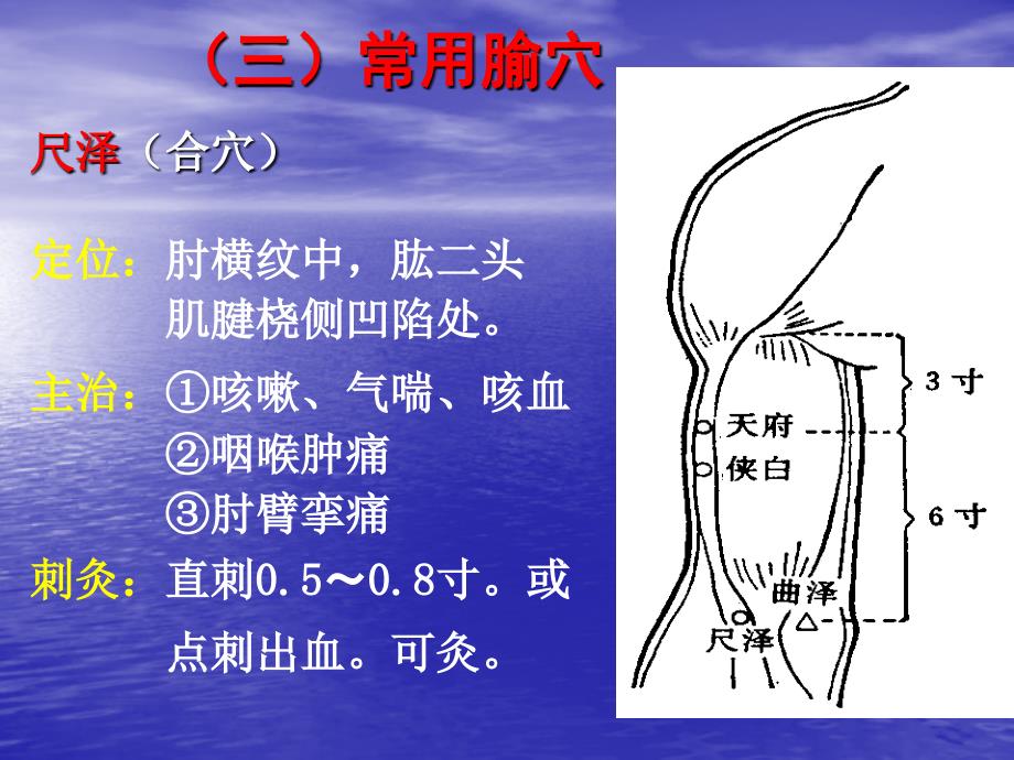 十四经脉和常用穴课件_第4页