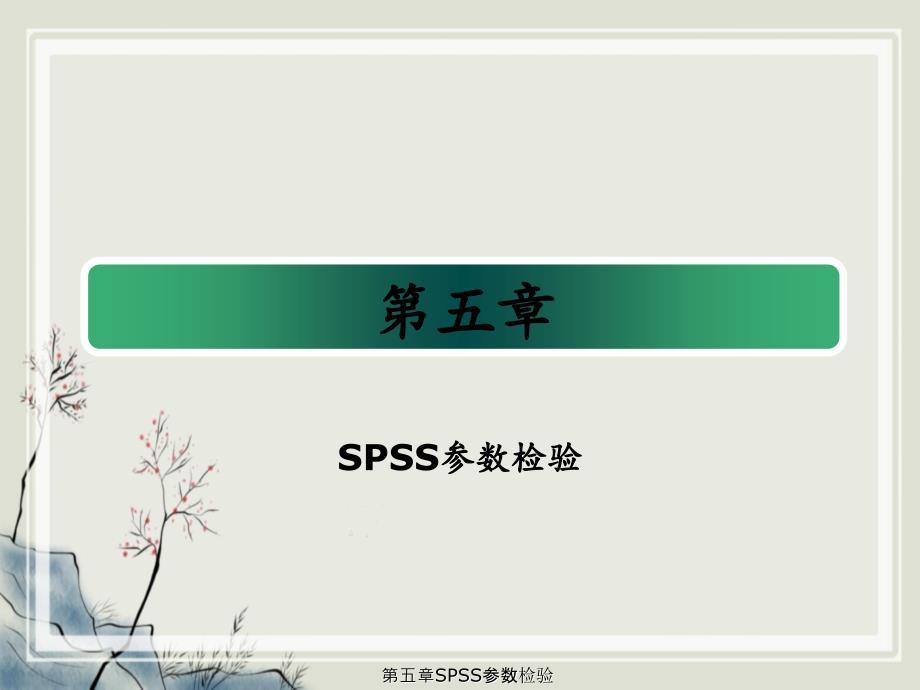 第五章SPSS参数检验_第1页