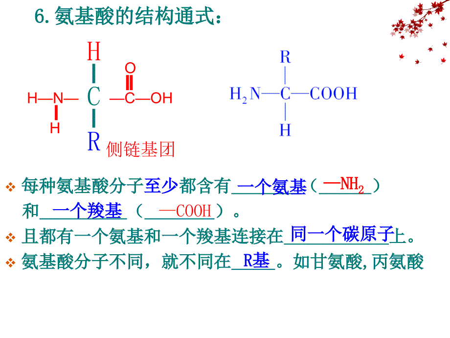 第二生命活动的主要承担者蛋白质_第4页