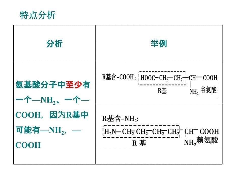 第二生命活动的主要承担者蛋白质_第5页