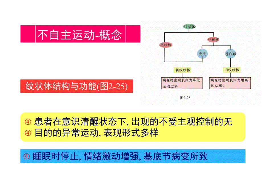 神经病学之不自主运动_第2页