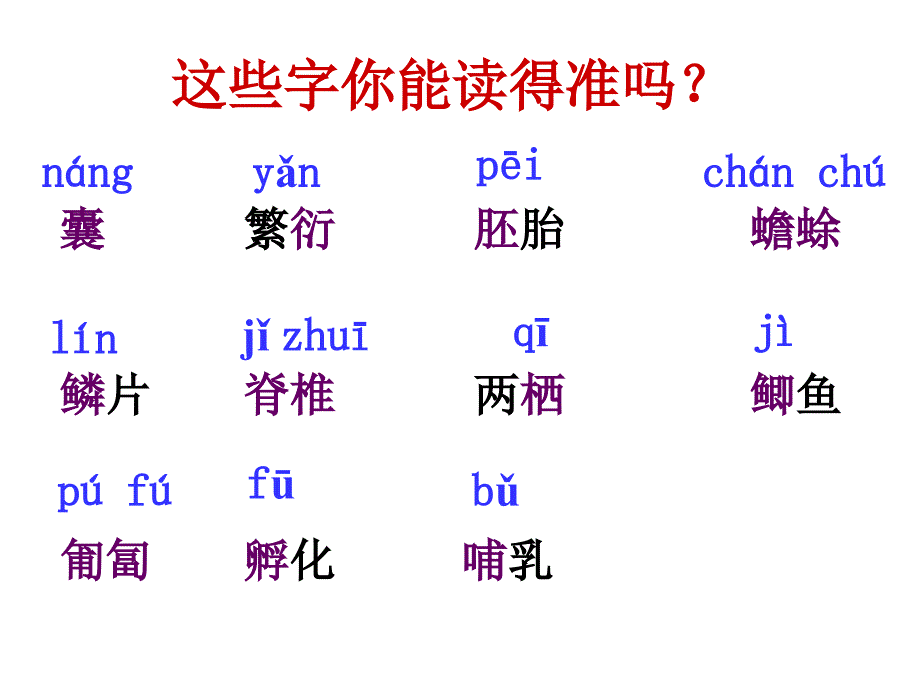 奇妙的克隆课件（1）_第3页