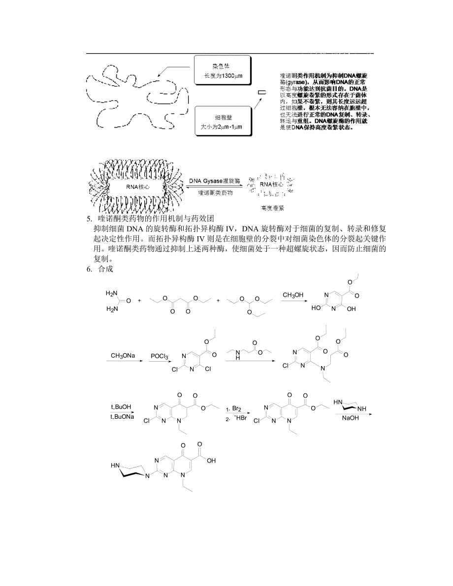 第九章 化学治疗药.doc_第3页