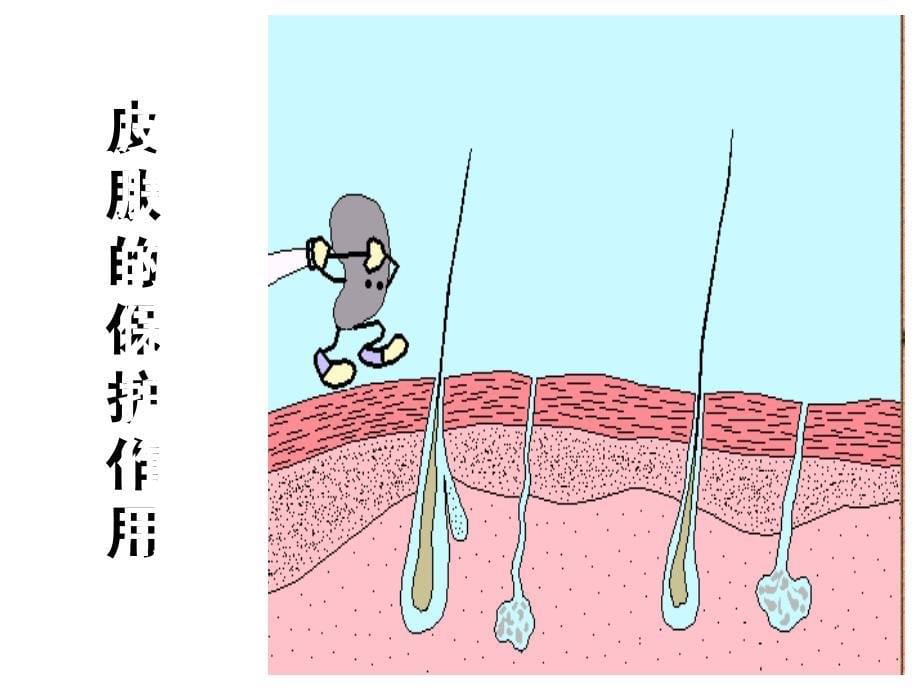 七年级生物人体免疫_第5页