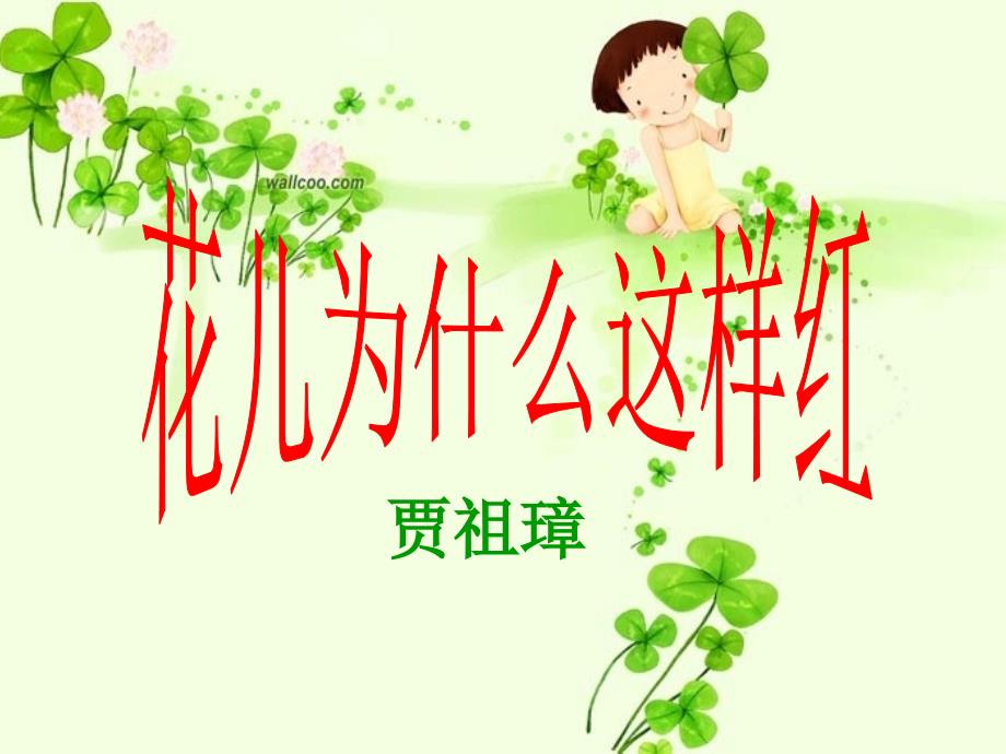 苏教版《花儿为什么这样红》课件9_第1页