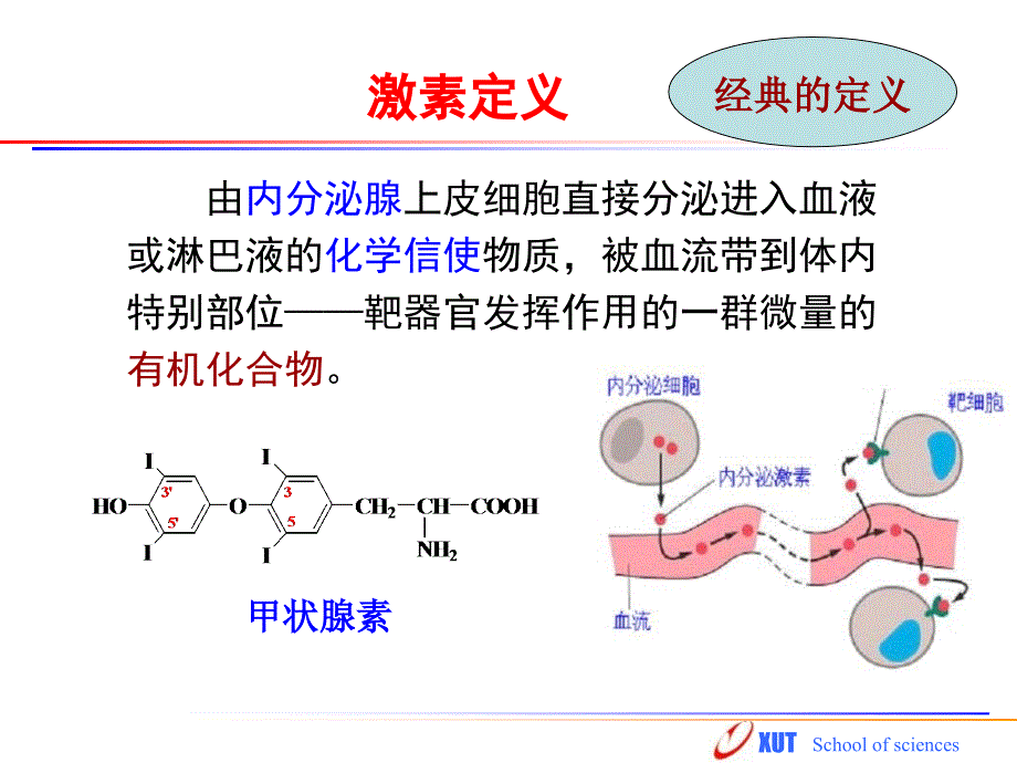 硫脲类抗甲状腺药_第2页