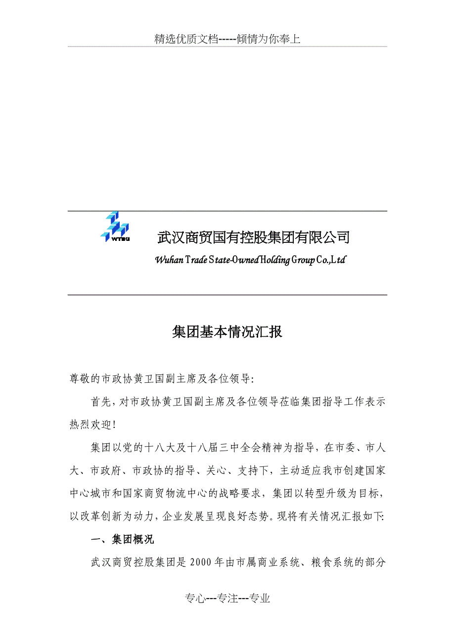 2019集团基本情况汇报_第1页