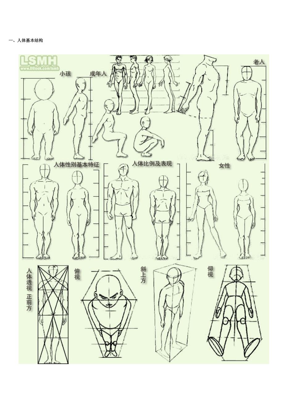 漫画的人体比例_第1页