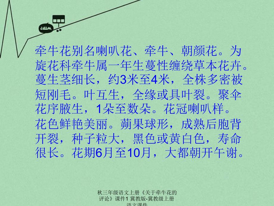 最新三年级语文上册关于牵牛花的评论课件1_第4页