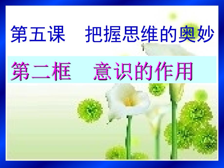 52《意识的作用》课件（新人教版08版必修4）_第1页