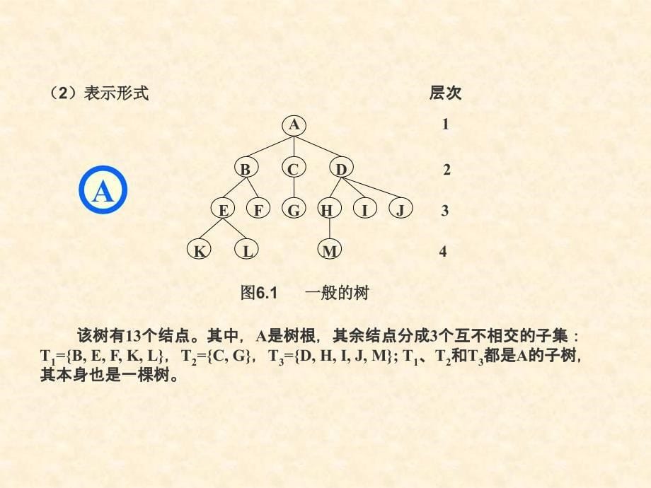 树的定义和基本术语_第5页