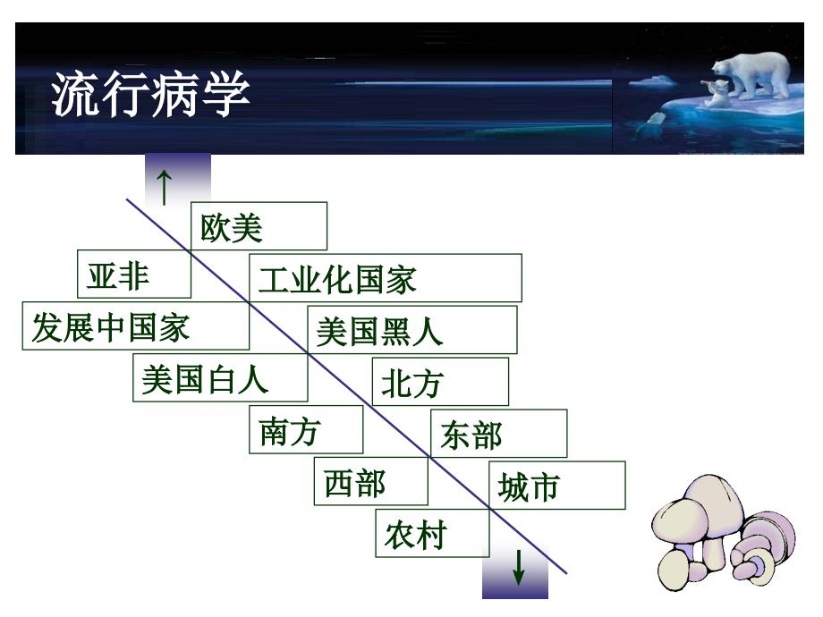 原发性高血压的合理用药及其护理_第4页