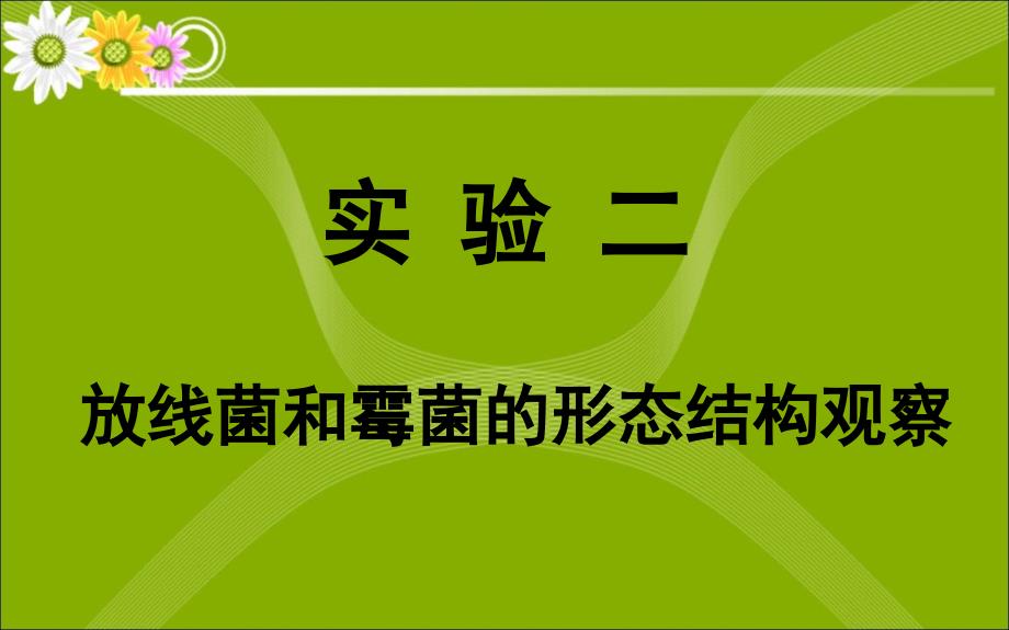 放线菌和霉菌的形态结构观察_第1页