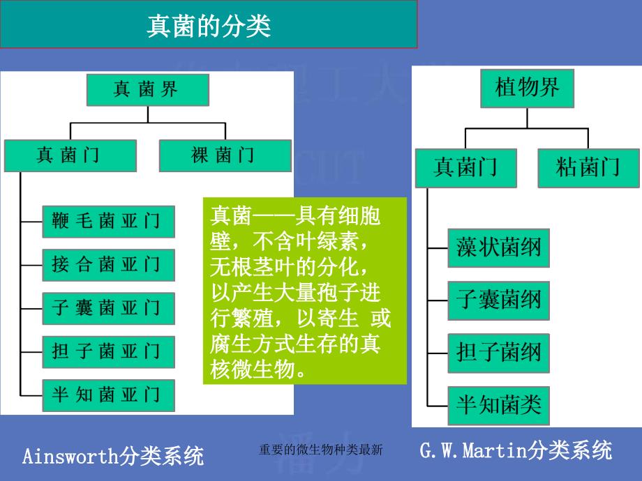 重要的微生物种类最新课件_第2页