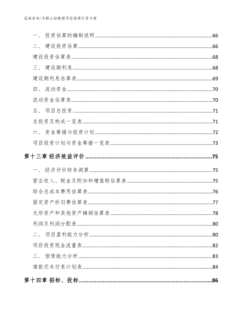 马鞍山钴酸锂项目招商引资方案_模板_第4页