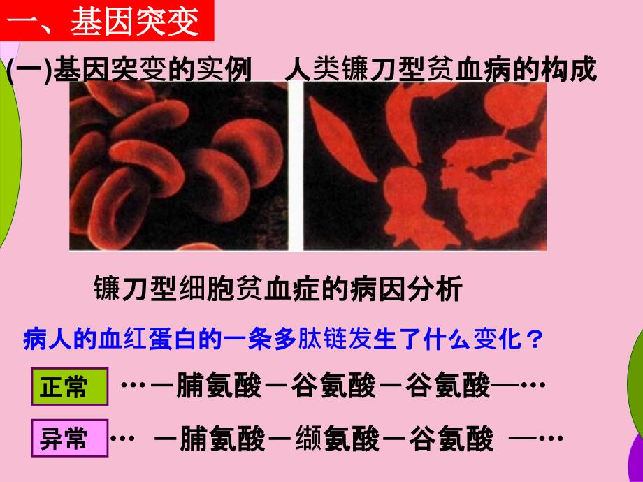 人教版教学251基因突变和基因重组3恢复ppt课件_第3页