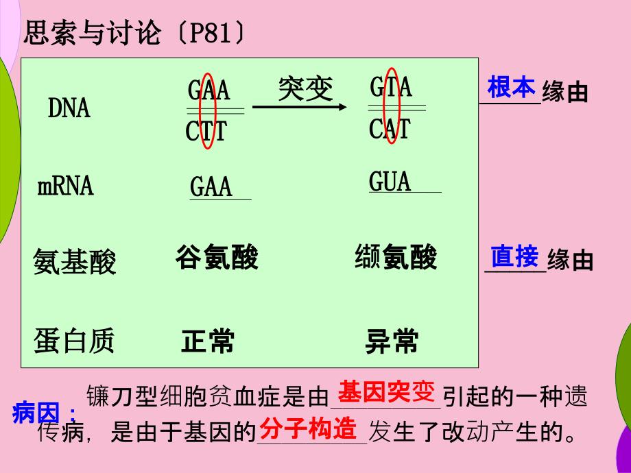 人教版教学251基因突变和基因重组3恢复ppt课件_第4页