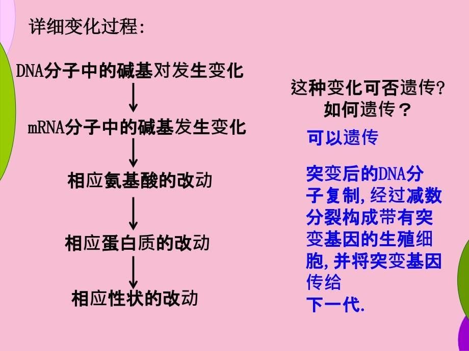 人教版教学251基因突变和基因重组3恢复ppt课件_第5页