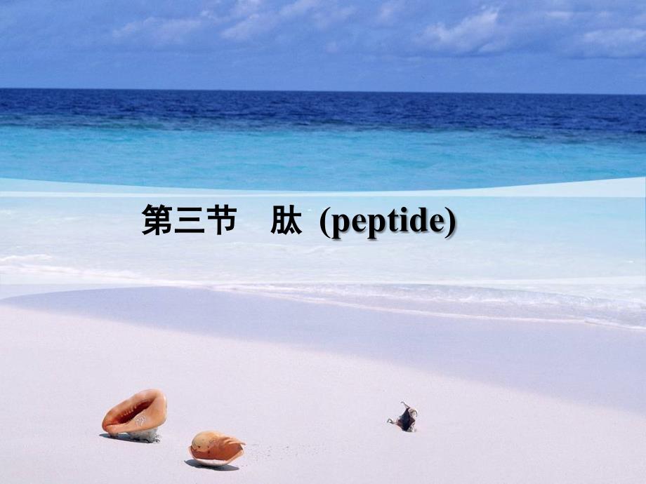 肽的结构和功能PPT课件_第1页