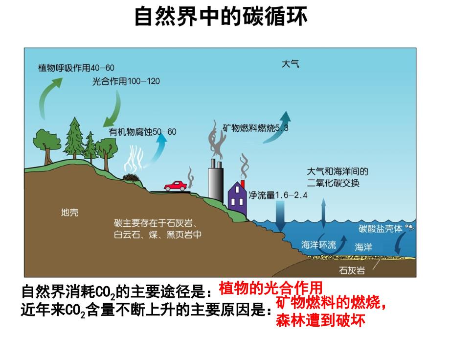 二氧化碳复习课件_第2页