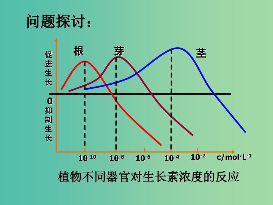 高中生物 第三章 第二节 生长素的生理作用课件 新人教版必修3.ppt_第5页