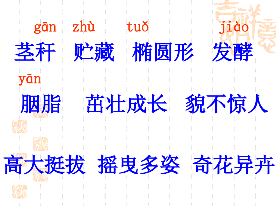 西师大六年级语文上册仙人掌课件_第4页