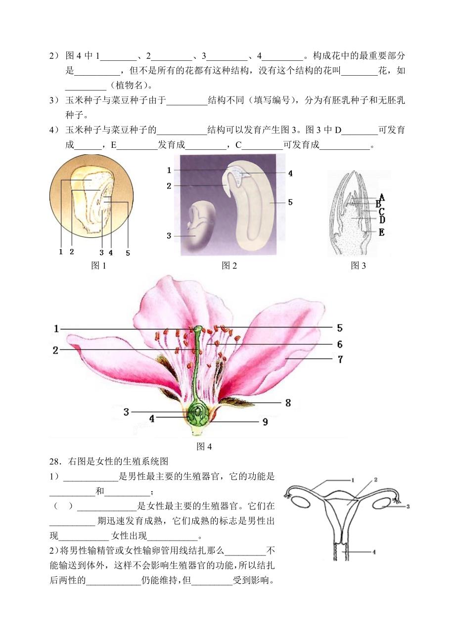 2006初一科学第三章期末复习测试.doc_第3页