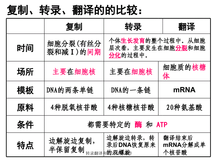 转录翻译和五大育种课件_第4页