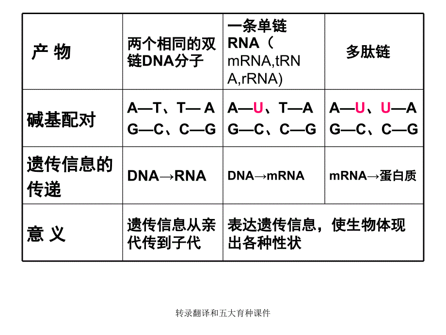 转录翻译和五大育种课件_第5页