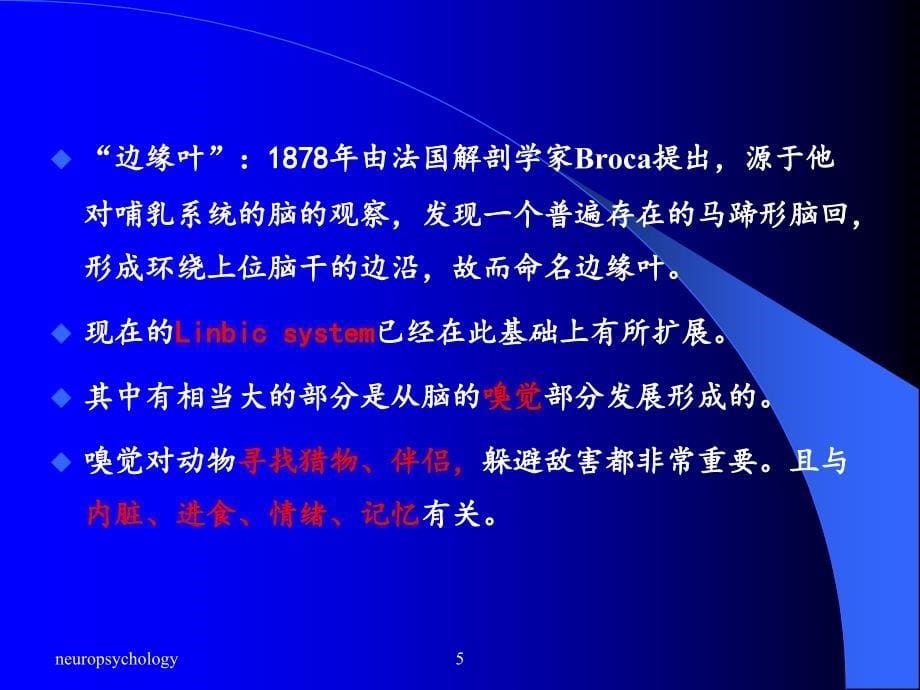 边缘系统的心理功能--神经心理学ppt课件.ppt_第5页