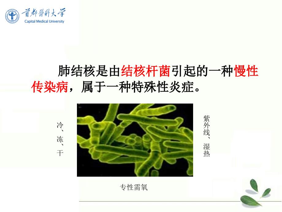 《影像诊断学》教学课件：第五节 2-结核-_第2页