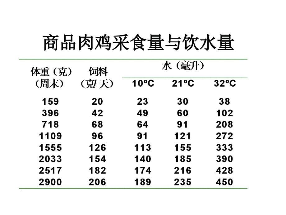 肉鸡饲养管理河北农业大学动物科技学院陈立功课件_第5页