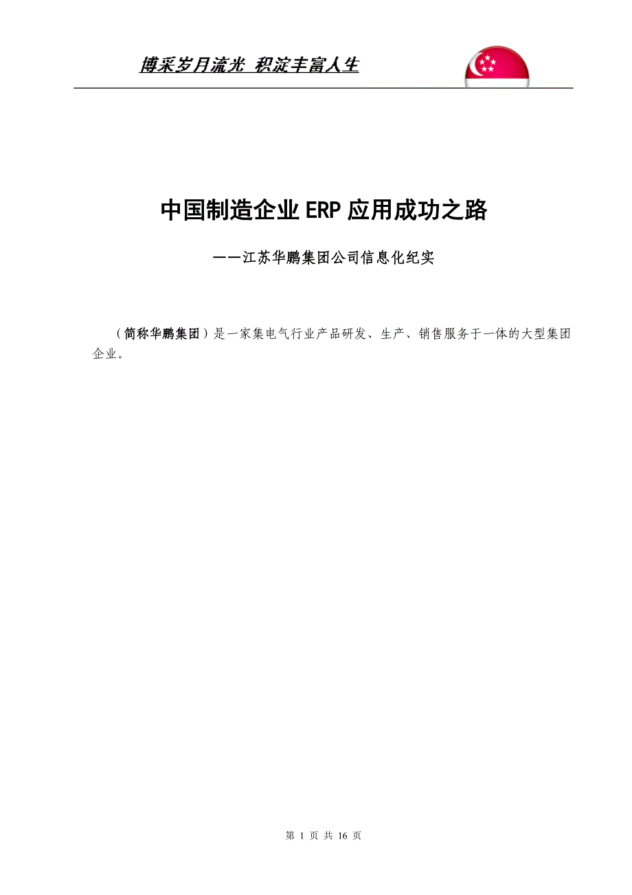 华鹏集团ERP信息化建设总结_第1页