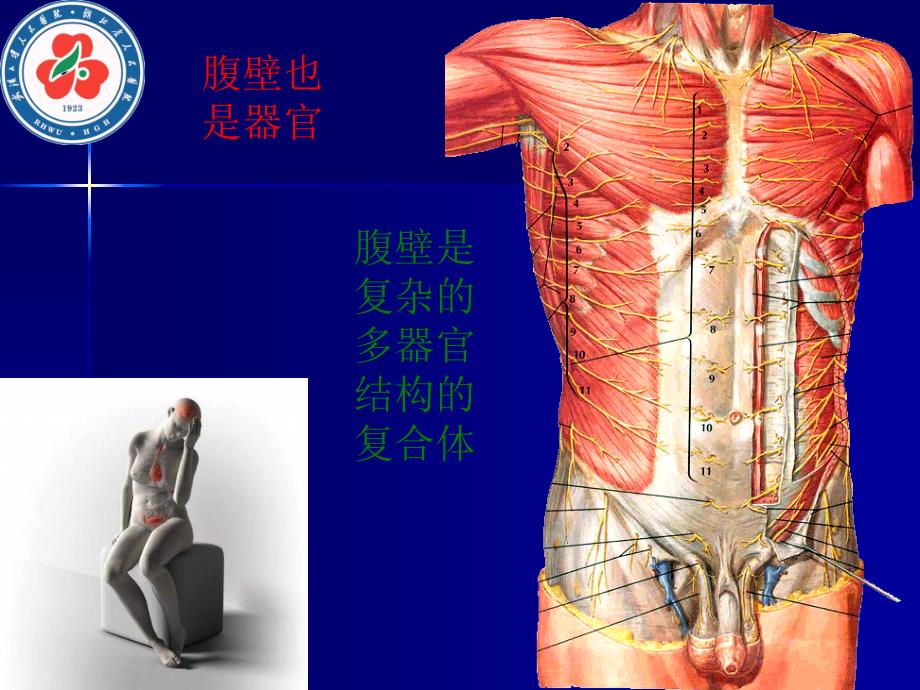 普及腹腔镜阑尾炎ppt课件_第3页