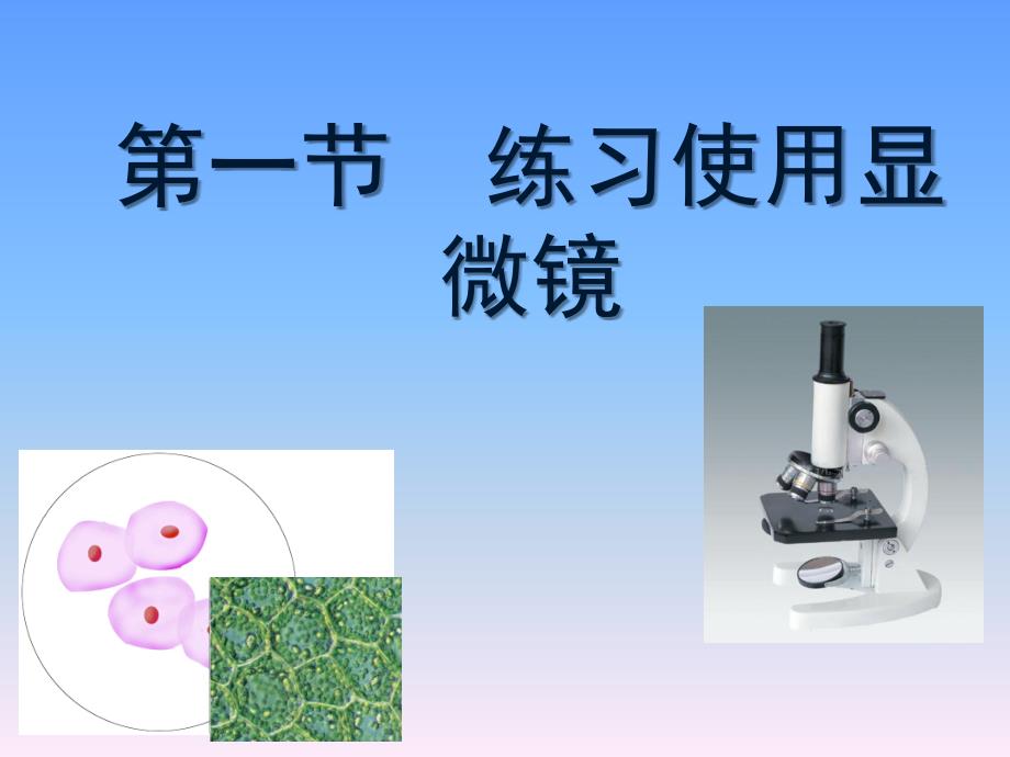 使用显微镜ppt_第2页