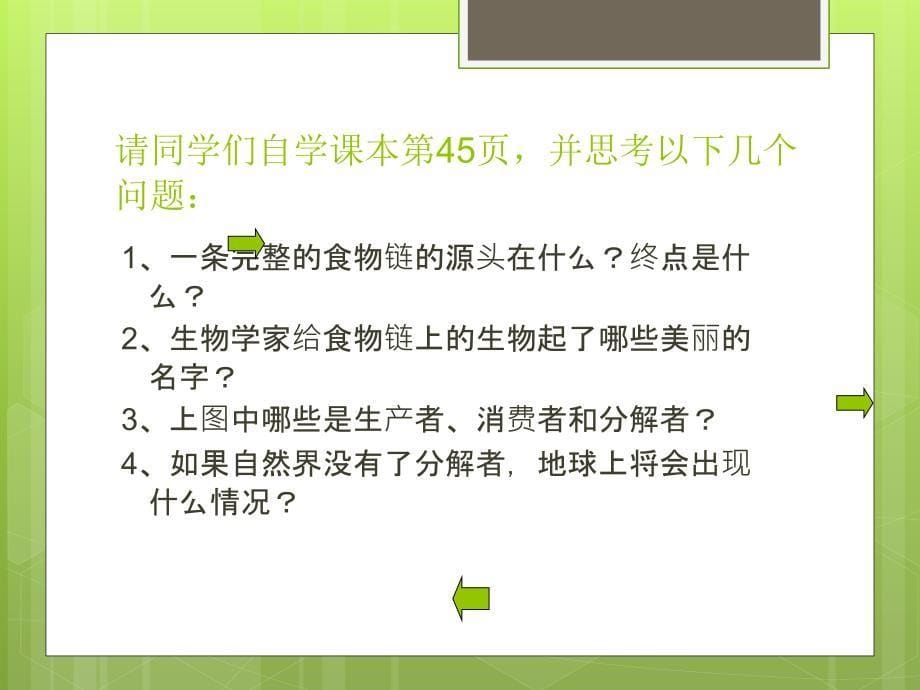 苏教版科学六年级下册有趣的食物链的课件_第5页