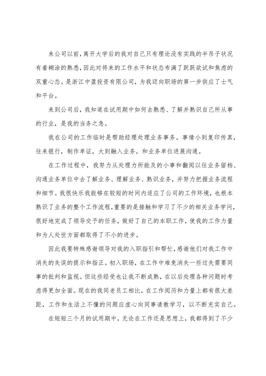 业务员试用期转正工作总结11篇.docx_第5页