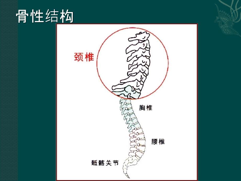 颈椎病的健康教育ppt课件_第4页