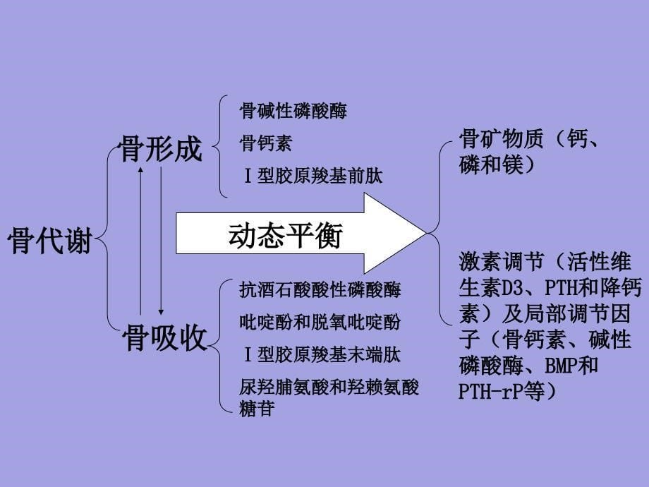 骨代谢紊乱试验诊断_第5页