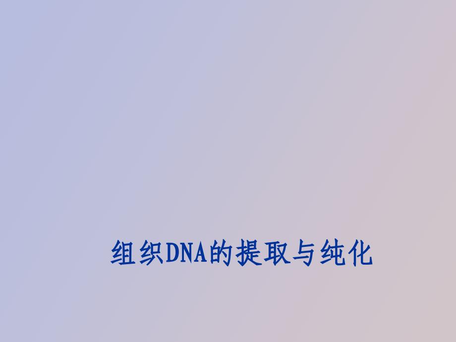 组织DNA的提取与纯化_第1页