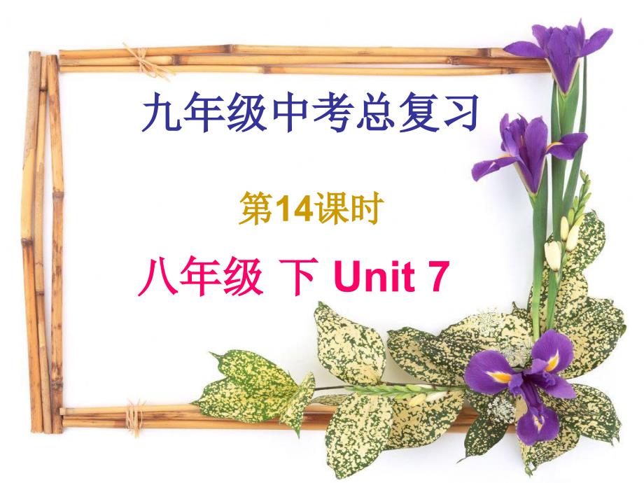 中考总复习八年级下Unit7_第1页