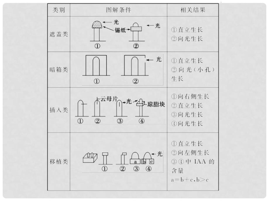 高考生物一轮复习 第八单元 生命活动的调节 第29讲 植物的激素调节课件_第3页