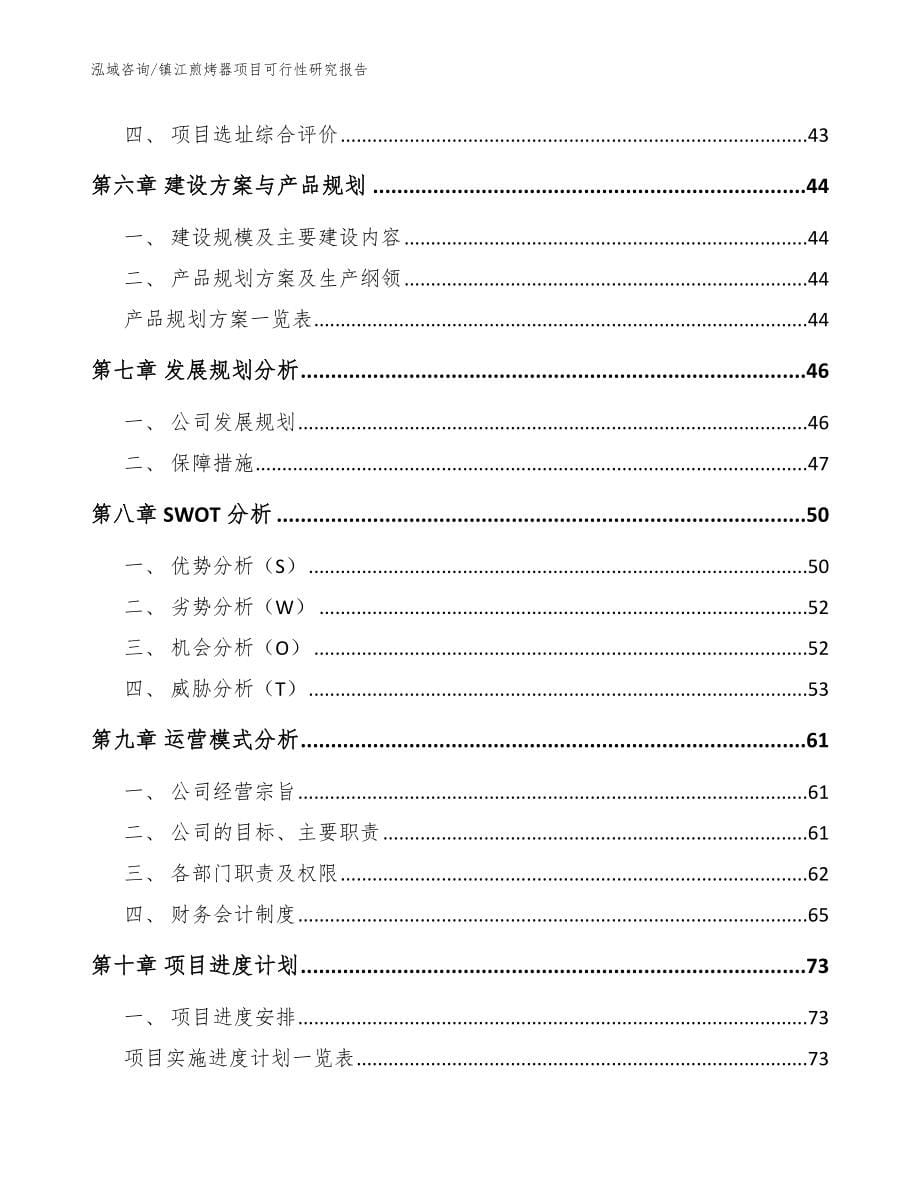 镇江煎烤器项目可行性研究报告模板范文_第5页