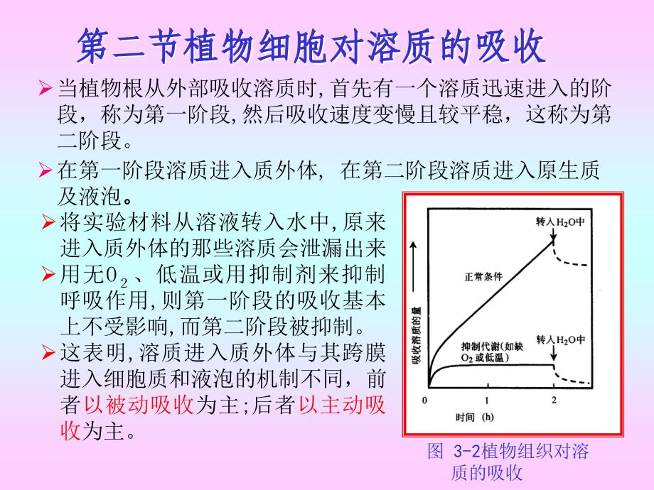 第三章-植物的矿质与氮素营养(2)分析课件_第2页