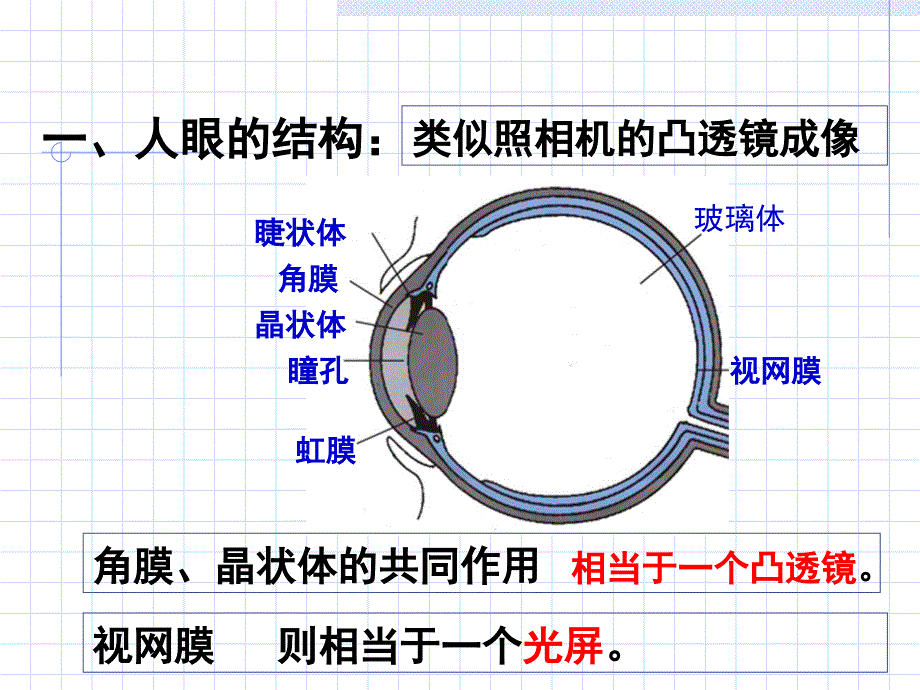 眼睛和眼镜教学PPT课件_第2页