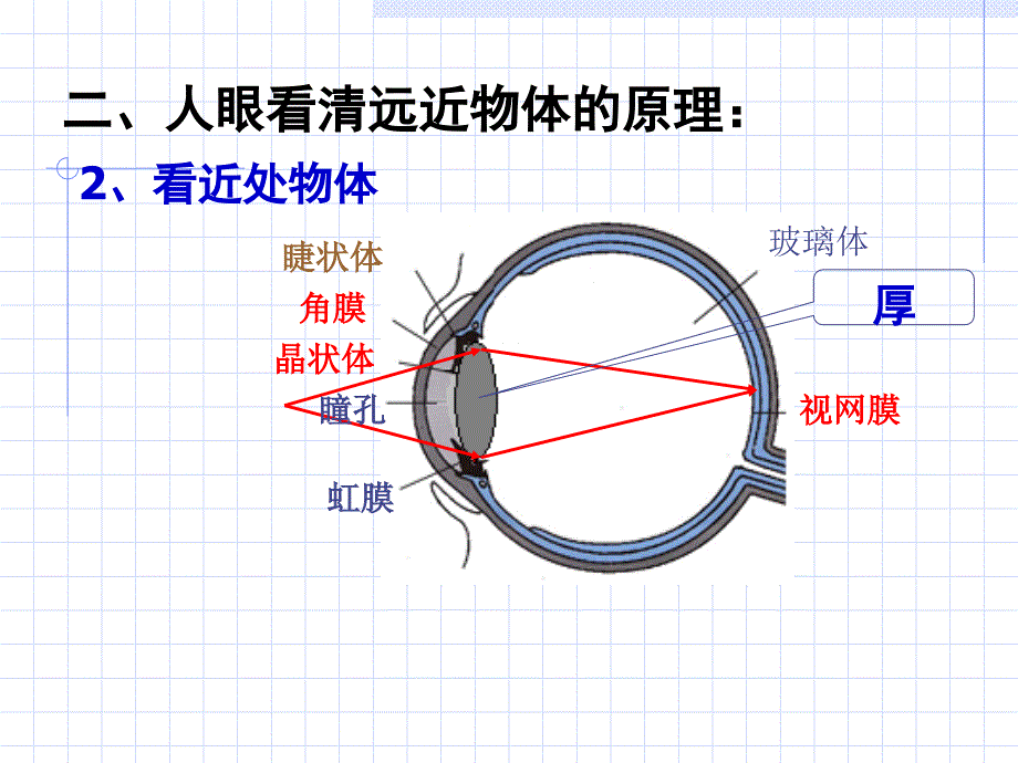 眼睛和眼镜教学PPT课件_第4页